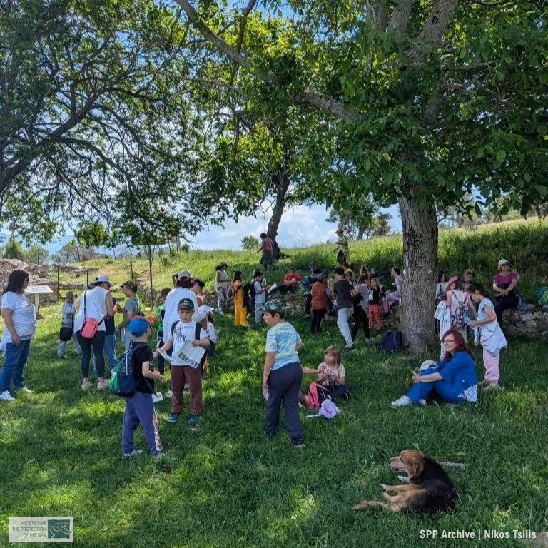 Learning About Wetlands – Educational Activity for World Environment Day