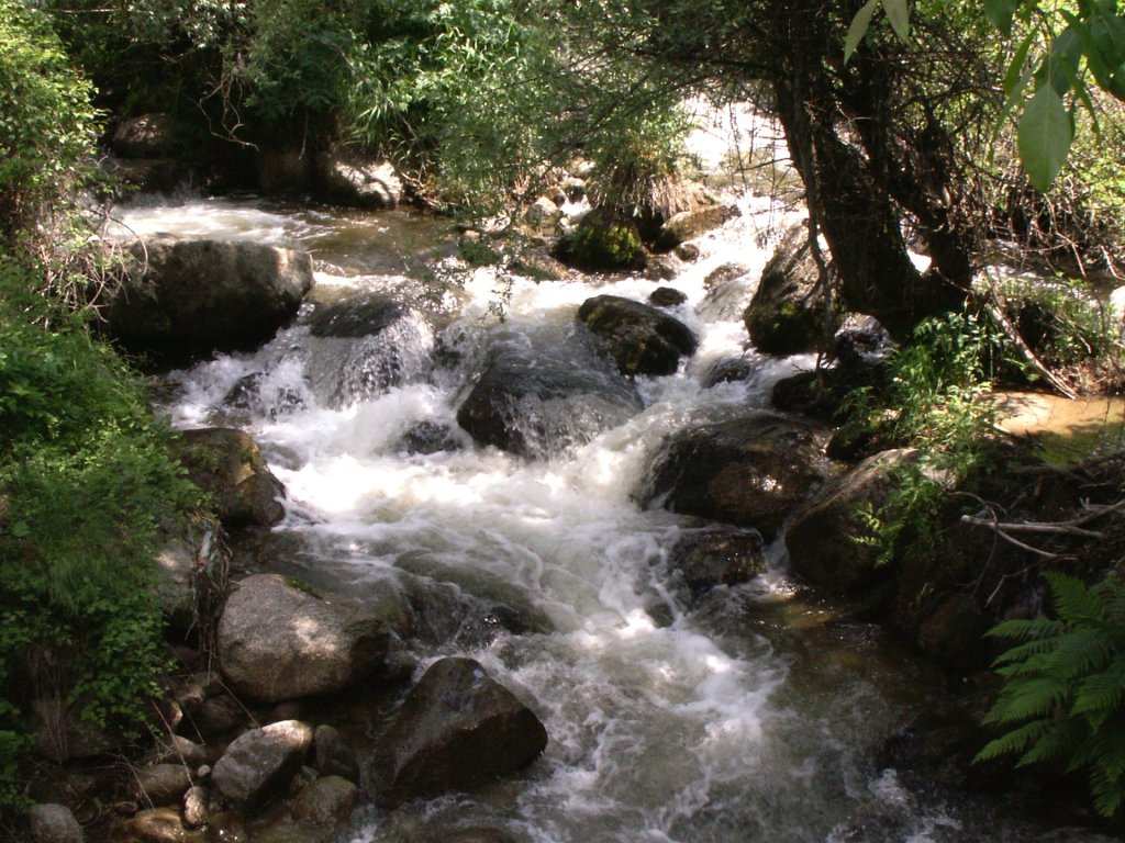 KONICA MINOLTA DIGITAL CAMERA