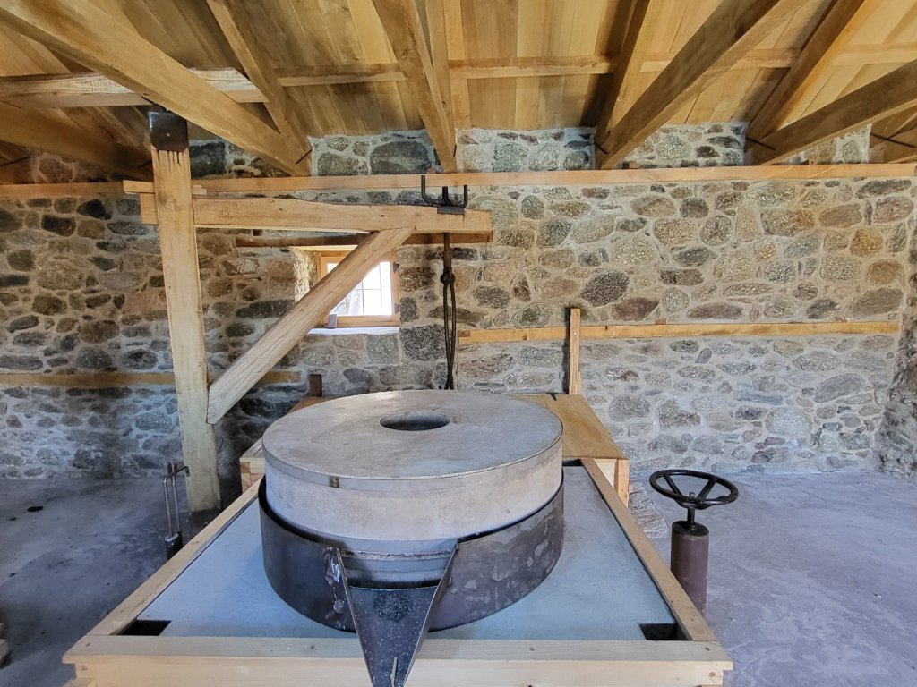 2024_04_15_Zenia_Anastasiadou2