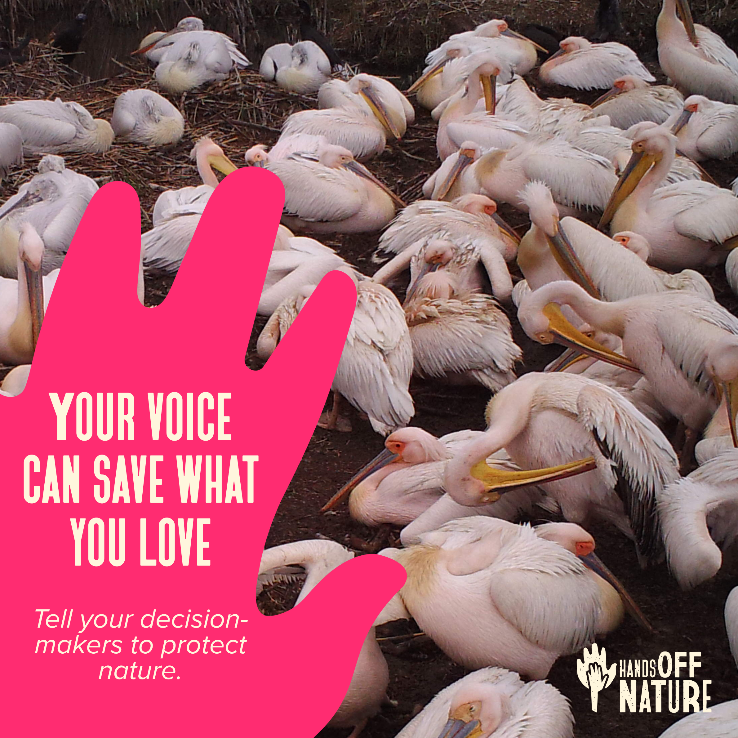 Act now, before 10 September! Don’t let the EU weaken nature protection.