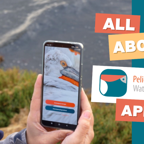 Pelican Watch App