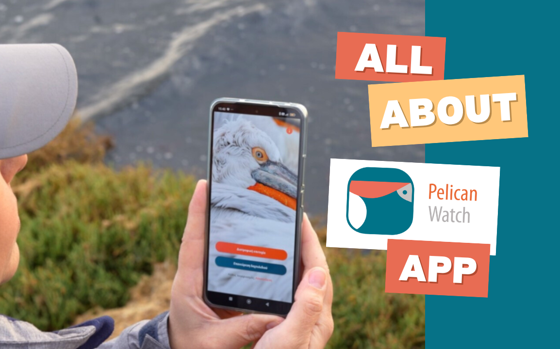 Pelican Watch App
