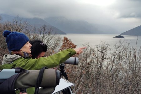 Μεσοχειμωνιάτικες Καταμετρήσεις στη Διασυνοριακή Πρέσπα