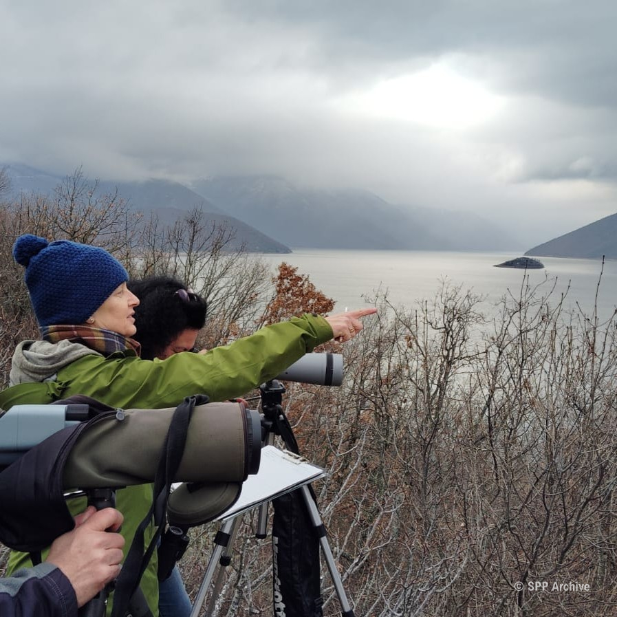Μεσοχειμωνιάτικες Καταμετρήσεις στη Διασυνοριακή Πρέσπα