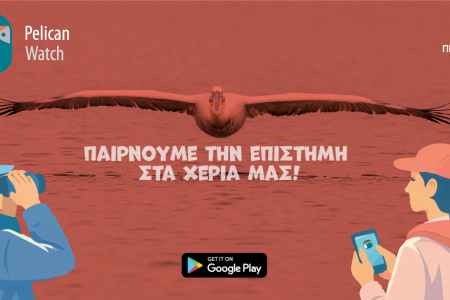 Νέος Διαγωνισμός Pelican Watch 2026 – Ο 2ος κύκλος ξεκίνησε!  