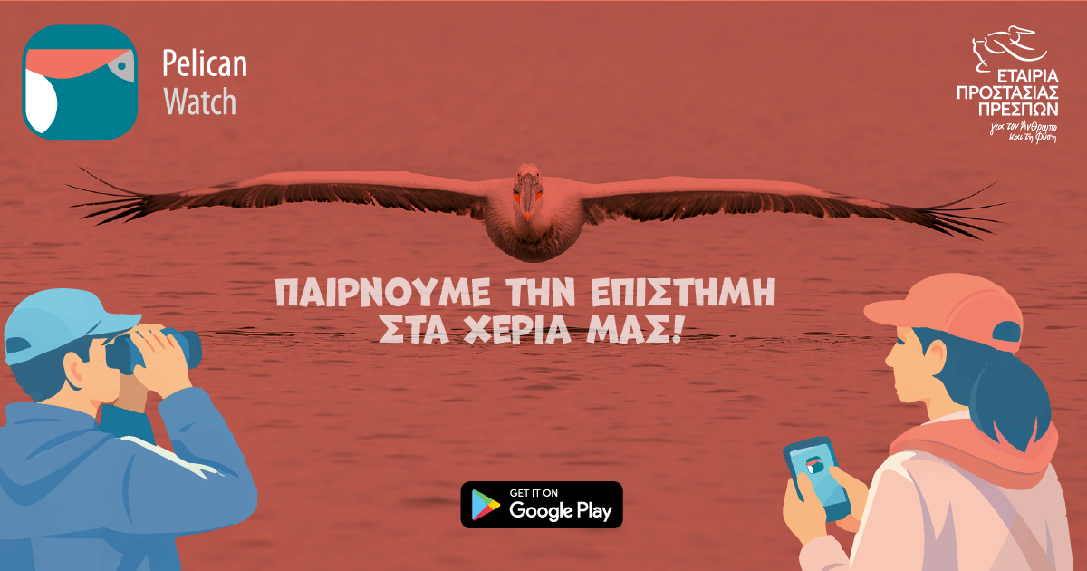 Νέος Διαγωνισμός Pelican Watch 2026 – Ο 2ος κύκλος ξεκίνησε!  
