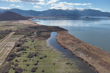 Τα υγρά λιβάδια επανεμφανίζονται το 2026: Μια τονωτική ένεση για τη Μικρή Πρέσπα