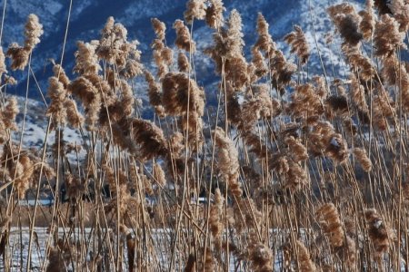Ανακοίνωση 12 περιβαλλοντικών οργανώσεων για τις ρυθμίσεις σε περιοχές Natura 2000 στο υπό διαβούλευση νομοσχέδιο ΥΠΕΝ